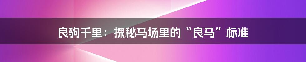 良驹千里:探秘马场里的“良马”标准
