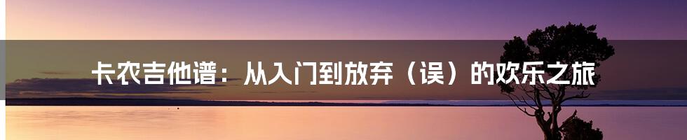 卡农吉他谱:从入门到放弃(误)的欢乐之旅