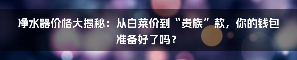 净水器价格大揭秘:从白菜价到“贵族”款,你的钱包准备好了吗?