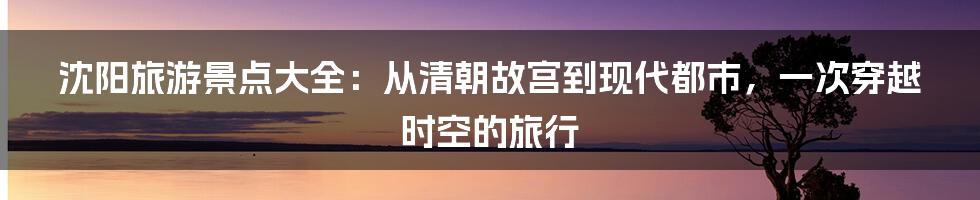 沈阳旅游景点大全:从清朝故宫到现代都市,一次穿越时空的旅行
