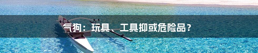 气狗：玩具、工具抑或危险品？