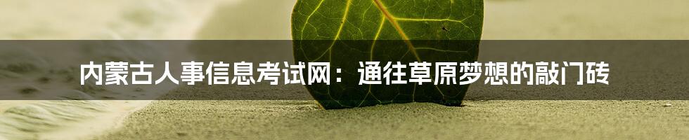 内蒙古人事信息考试网:通往草原梦想的敲门砖