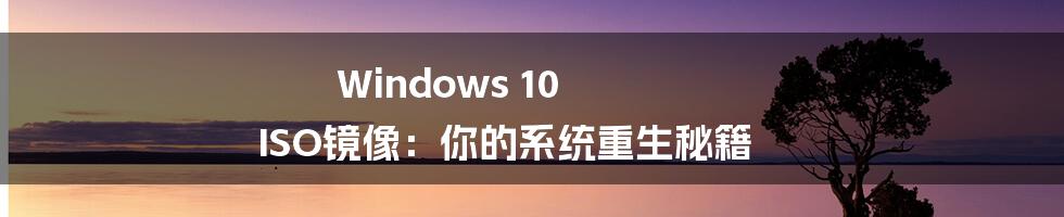 Windows 10 ISO镜像:你的系统重生秘籍