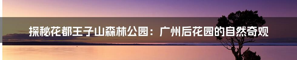 探秘花都王子山森林公园:广州后花园的自然奇观