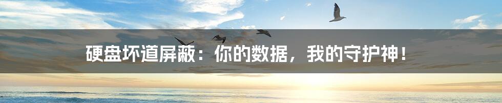 硬盘坏道屏蔽：你的数据，我的守护神！