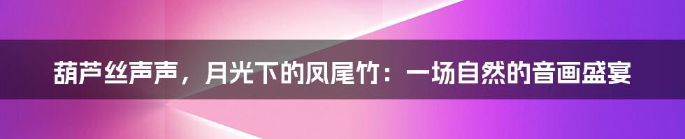 葫芦丝声声，月光下的凤尾竹：一场自然的音画盛宴
