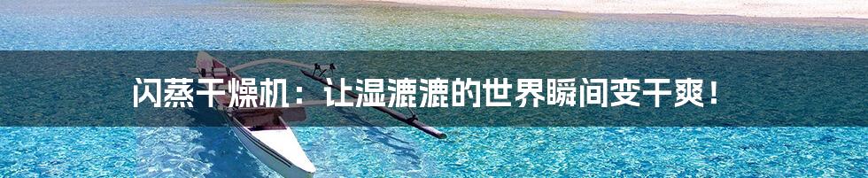 闪蒸干燥机:让湿漉漉的世界瞬间变干爽!