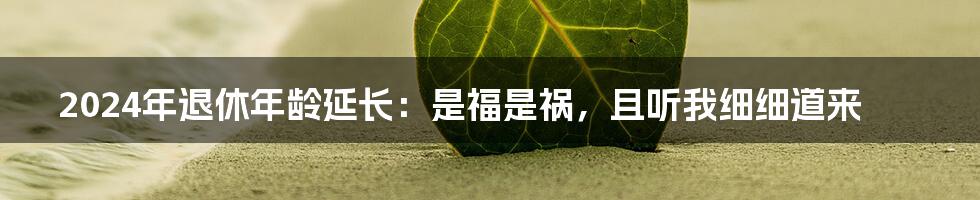 2024年退休年龄延长：是福是祸，且听我细细道来