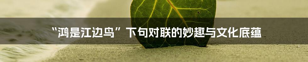 “鸿是江边鸟”下句对联的妙趣与文化底蕴