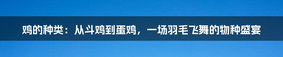 鸡的种类：从斗鸡到蛋鸡，一场羽毛飞舞的物种盛宴