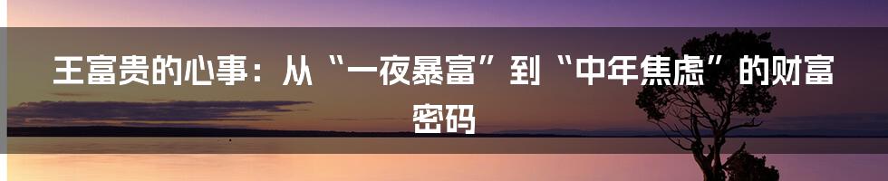 王富贵的心事：从“一夜暴富”到“中年焦虑”的财富密码