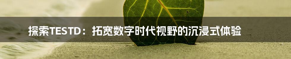 探索TESTD:拓宽数字时代视野的沉浸式体验