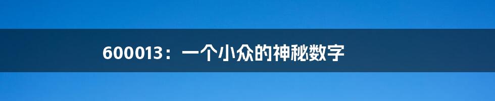 600013:一个小众的神秘数字