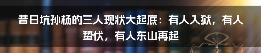昔日坑孙杨的三人现状大起底：有人入狱，有人蛰伏，有人东山再起