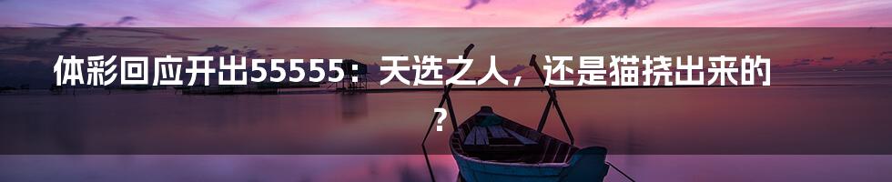 体彩回应开出55555:天选之人,还是猫挠出来的?