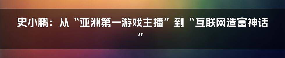 史小鹏:从“亚洲第一游戏主播”到“互联网造富神话”