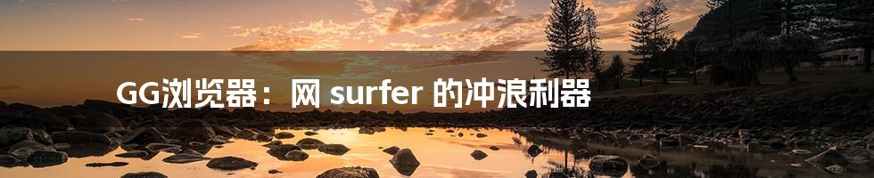 GG浏览器:网 surfer 的冲浪利器