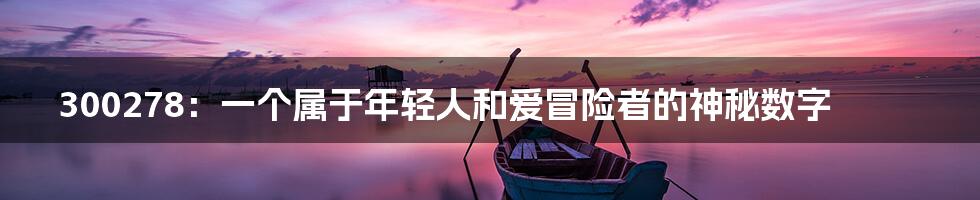 300278：一个属于年轻人和爱冒险者的神秘数字