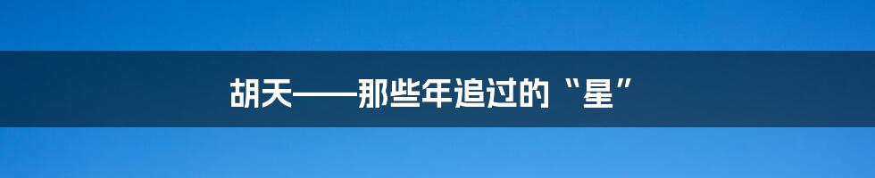 胡天——那些年追过的“星”