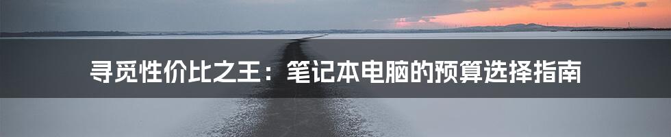 寻觅性价比之王:笔记本电脑的预算选择指南