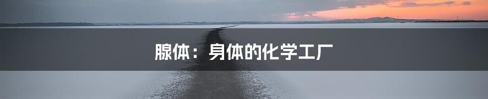 腺体：身体的化学工厂