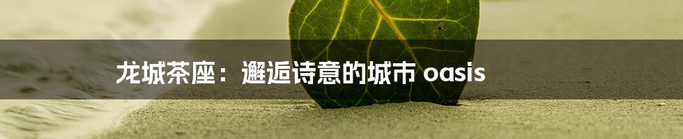 龙城茶座:邂逅诗意的城市 oasis