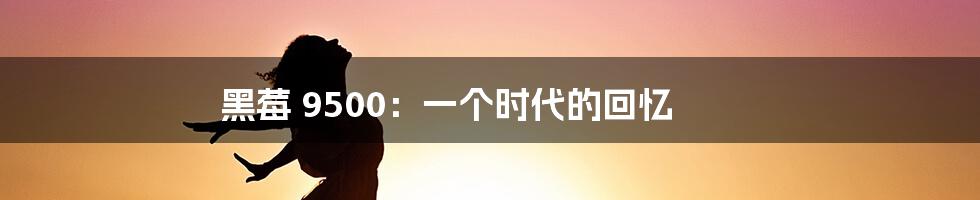 黑莓 9500：一个时代的回忆