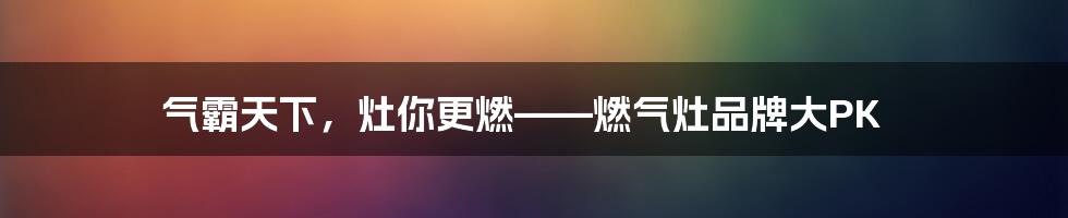 气霸天下，灶你更燃——燃气灶品牌大PK