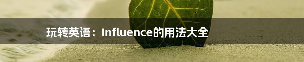 玩转英语：Influence的用法大全