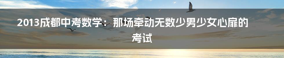 2013成都中考数学：那场牵动无数少男少女心扉的考试