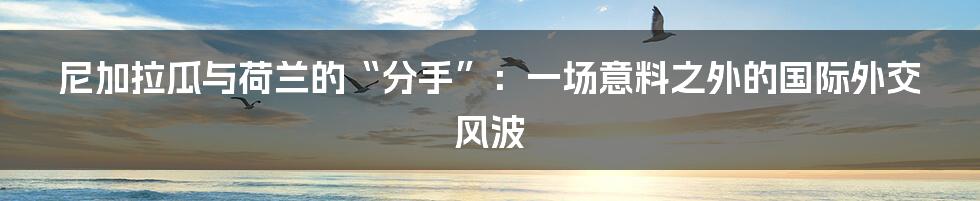 尼加拉瓜与荷兰的“分手”:一场意料之外的国际外交风波