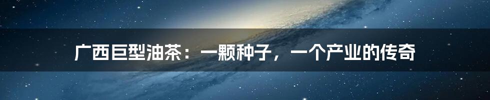 广西巨型油茶：一颗种子，一个产业的传奇