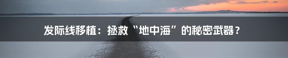 发际线移植:拯救“地中海”的秘密武器?