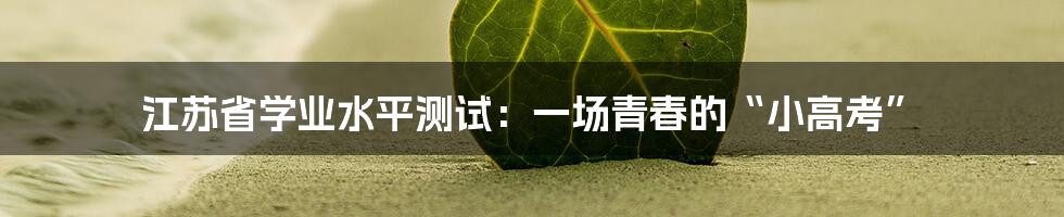 江苏省学业水平测试：一场青春的“小高考”