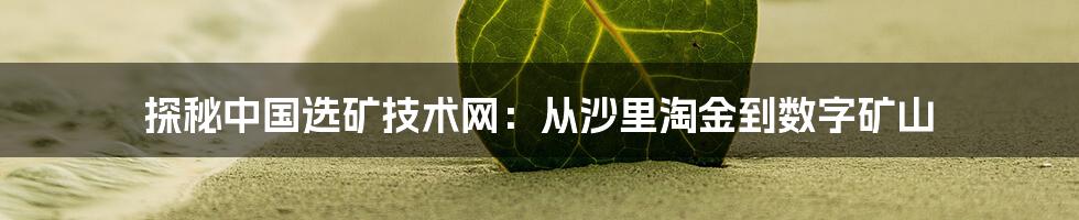 探秘中国选矿技术网：从沙里淘金到数字矿山