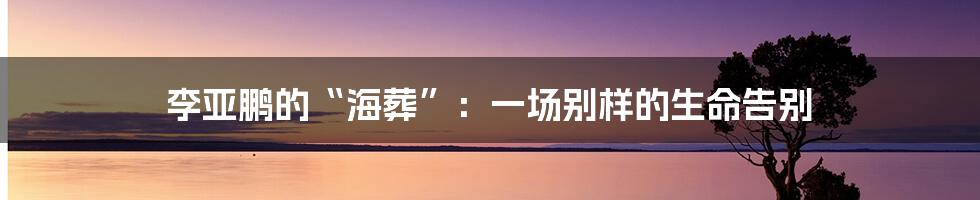 李亚鹏的“海葬”:一场别样的生命告别