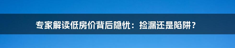 专家解读低房价背后隐忧:捡漏还是陷阱?
