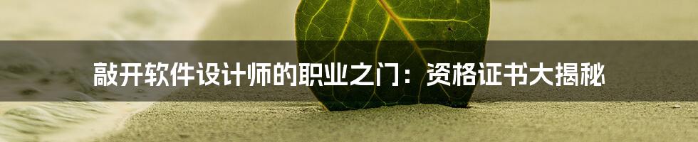 敲开软件设计师的职业之门:资格证书大揭秘