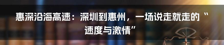 惠深沿海高速:深圳到惠州,一场说走就走的“速度与激情”
