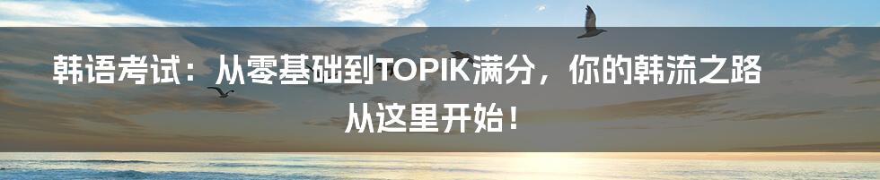 韩语考试:从零基础到TOPIK满分,你的韩流之路从这里开始!
