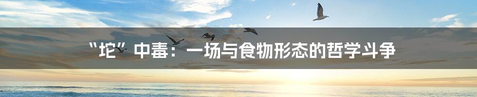 “坨”中毒：一场与食物形态的哲学斗争