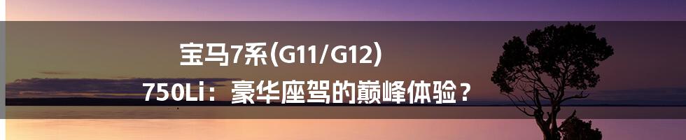 宝马7系(G11/G12) 750Li:豪华座驾的巅峰体验?