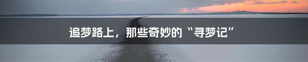 追梦路上,那些奇妙的“寻梦记”