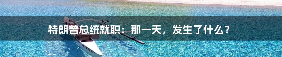 特朗普总统就职：那一天，发生了什么？