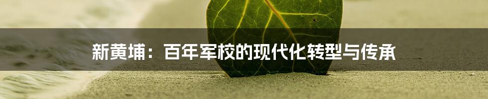 新黄埔:百年军校的现代化转型与传承