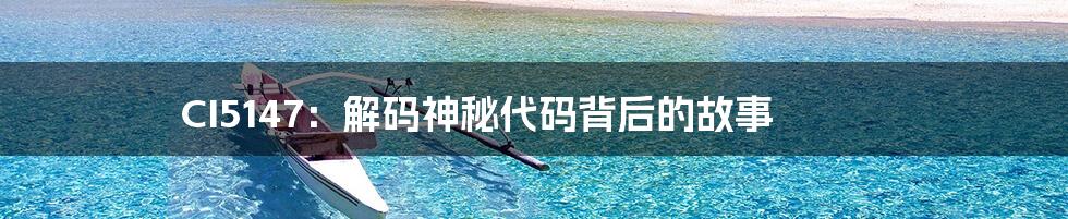 CI5147：解码神秘代码背后的故事