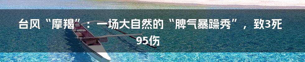 台风“摩羯”：一场大自然的“脾气暴躁秀”，致3死95伤