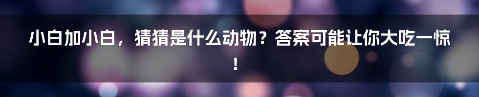 小白加小白,猜猜是什么动物?答案可能让你大吃一惊!