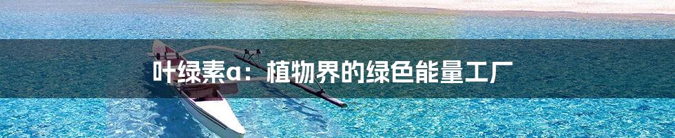 叶绿素a:植物界的绿色能量工厂