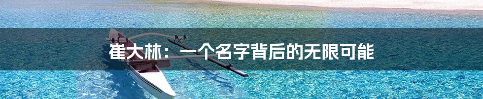 崔大林：一个名字背后的无限可能